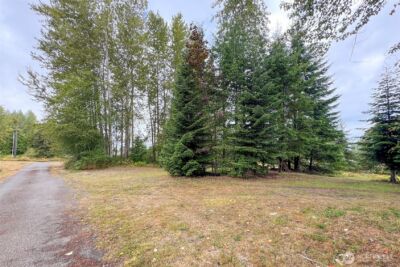 3951 S TYLER Road , Port Angeles, WA 98363 - Photo 39