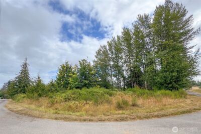 3951 S TYLER Road , Port Angeles, WA 98363 - Photo 40