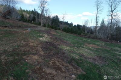 277 Cornerstone Lane , Woodland, WA 98674 - Photo 19