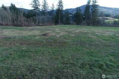 277 Cornerstone Lane , Woodland, WA 98674 - Photo 5