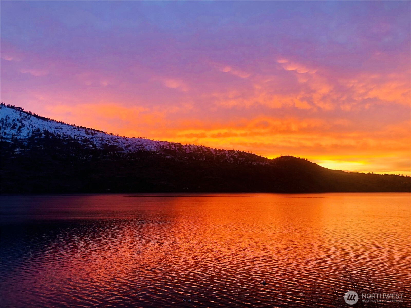 101 Driftwood Lane , Chelan, WA 98816