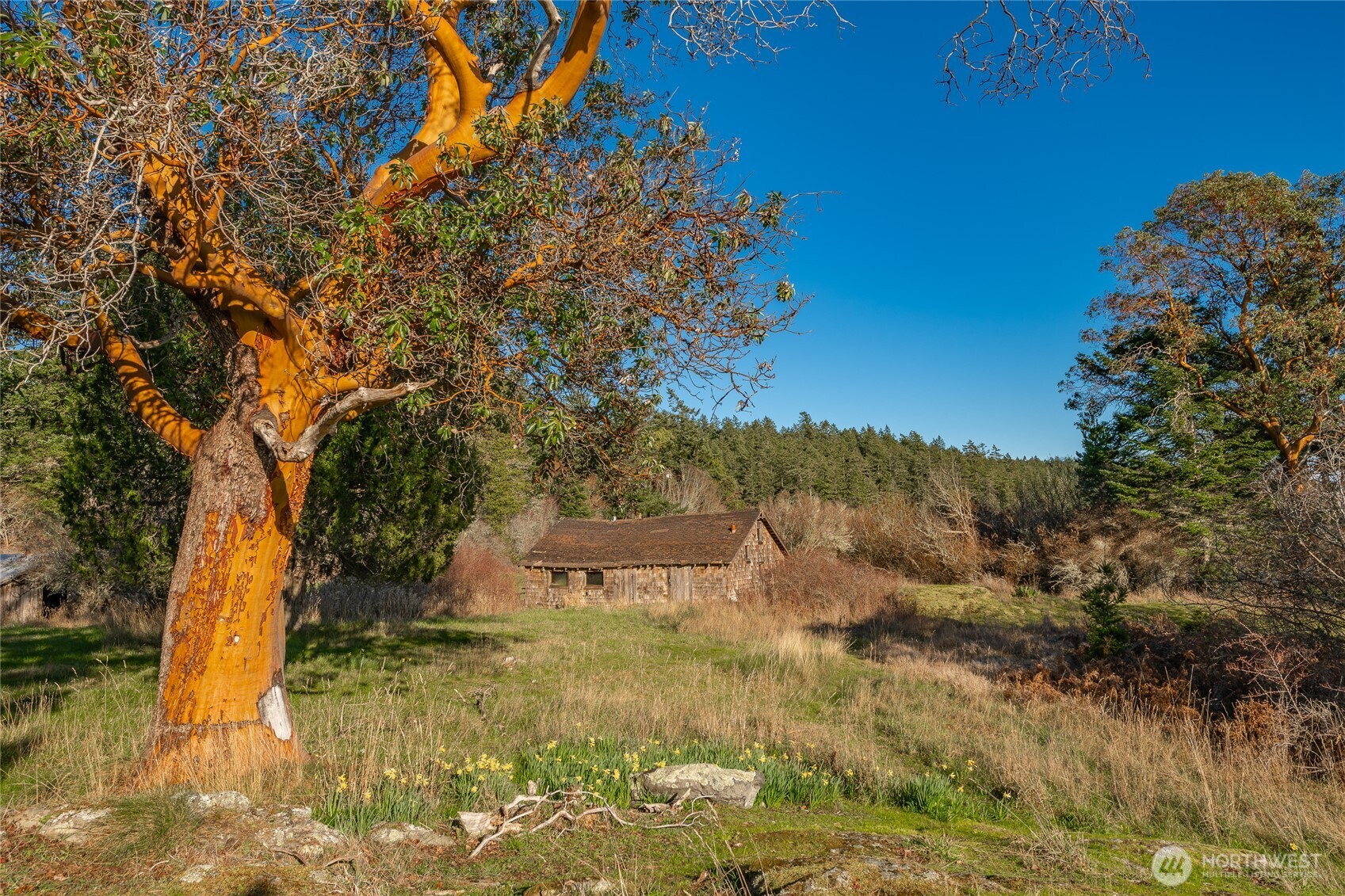 1014 Ben Nevis Loop , Shaw Island, WA 98286