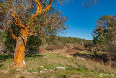 1014 Ben Nevis Loop , Shaw Island, WA 98286 - Photo 38