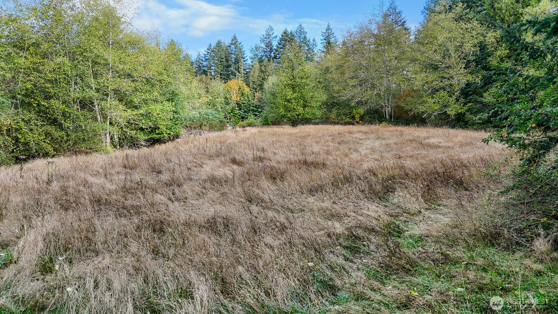 14440 Vantine Road SE, Tenino, WA 98589