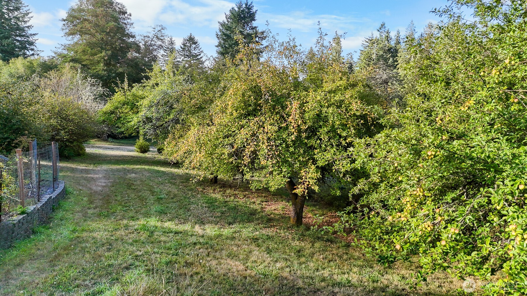 14440 Vantine Road SE, Tenino, WA 98589