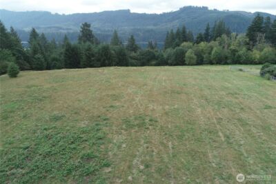 290 Wilkinson Road , Ariel, WA 98603 - Photo 2