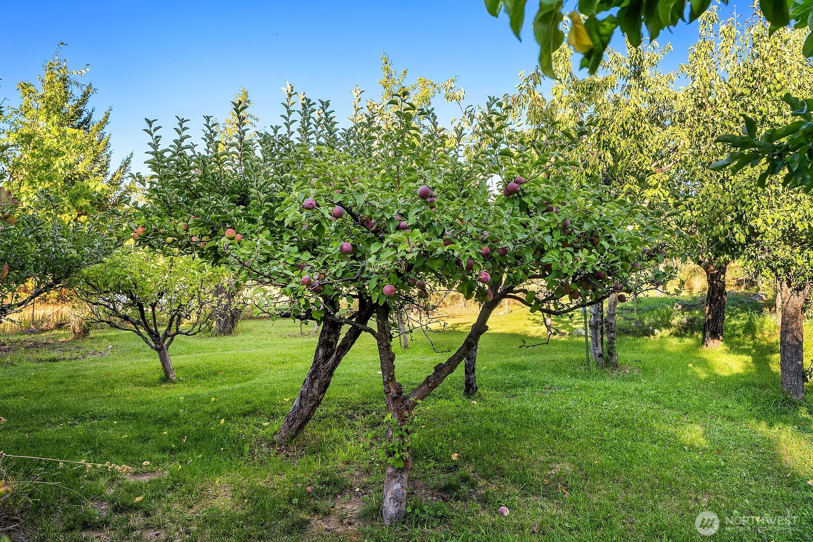 220 Big House Road , Cle Elum, WA 98922