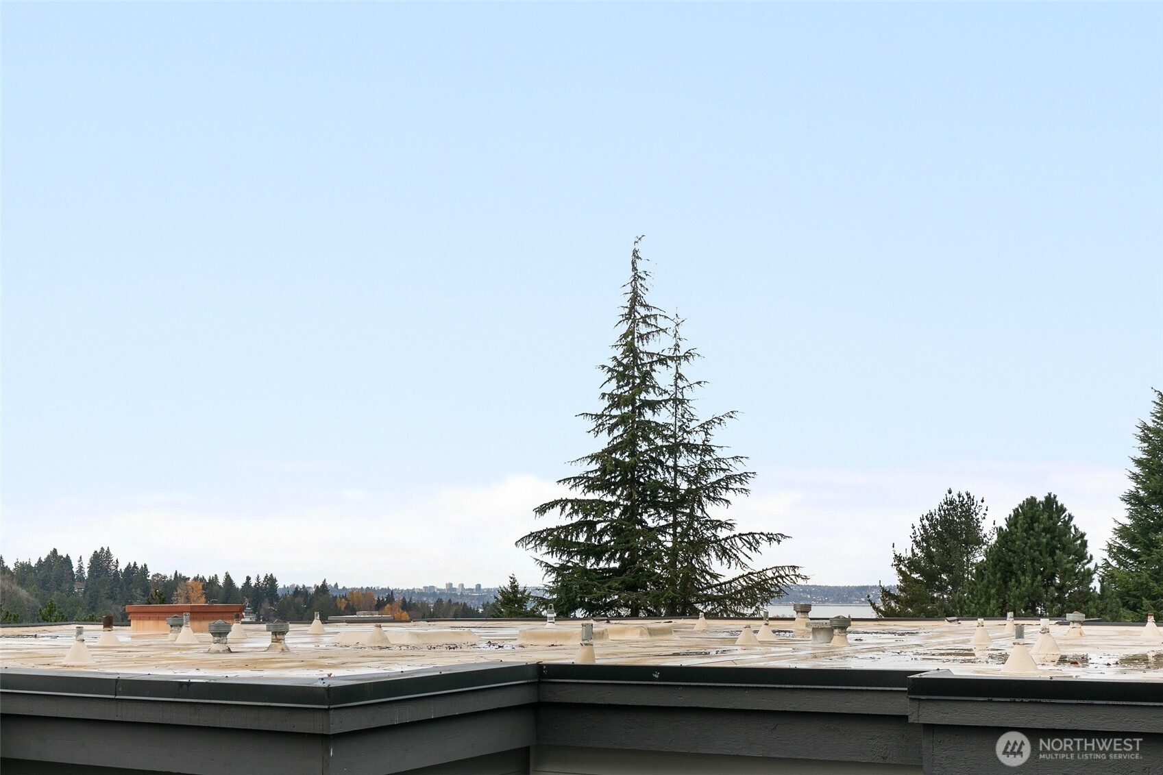 3204 81st Place SE #B202, Mercer Island, WA 98040