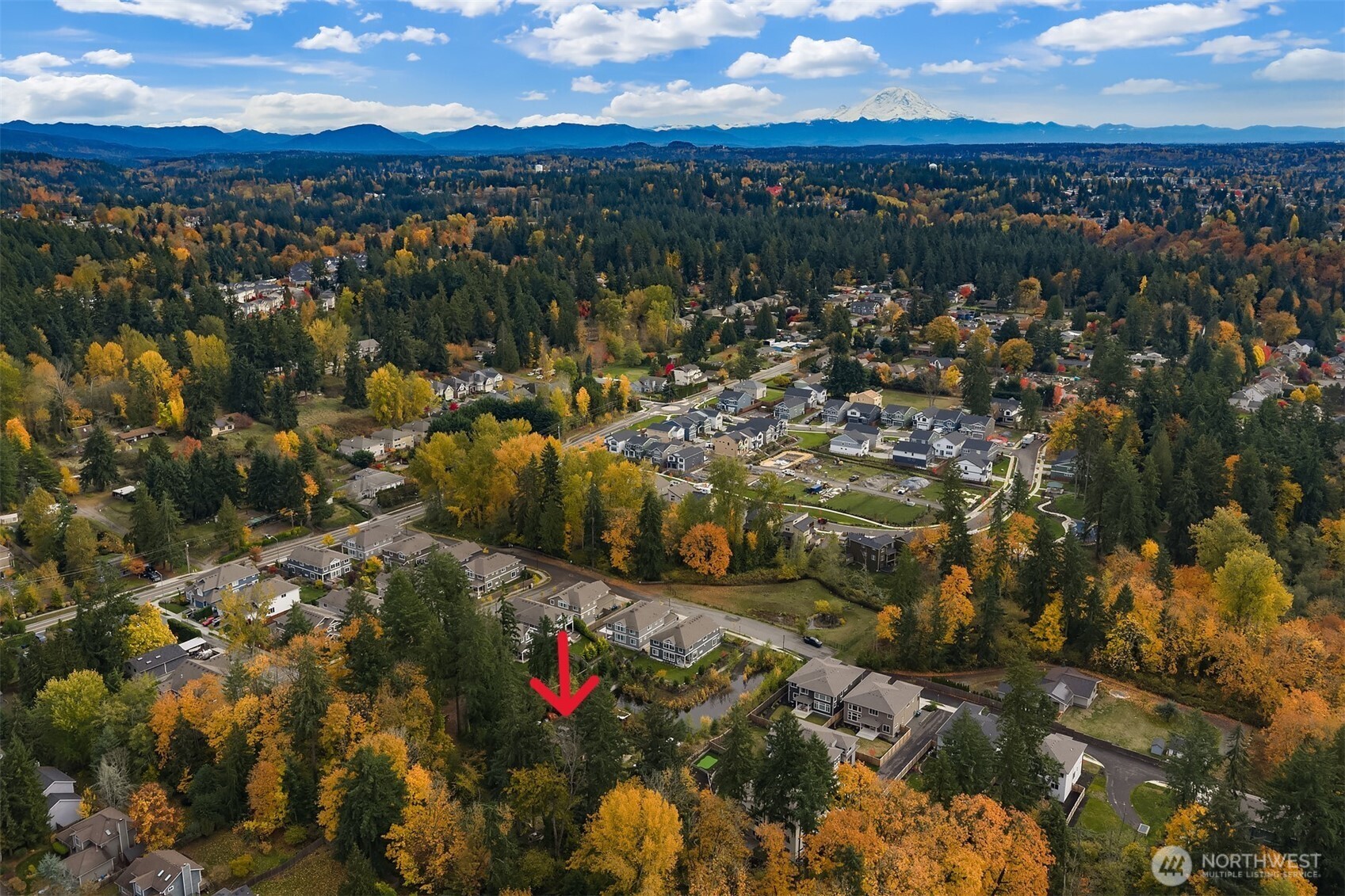 11428 SE 82nd Street , Newcastle, WA 98056