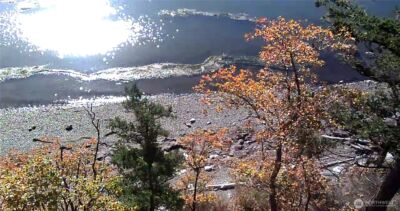 10405 Samish Island Road , Bow, WA 98232-9400 - Photo 23