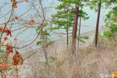 10405 Samish Island Road , Bow, WA 98232-9400 - Photo 6