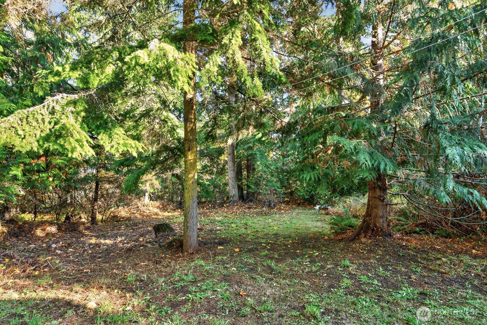 2103 Sherwood Forest Lane , Camano Island, WA 98282-8230