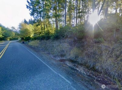 5011 E Rasor Road , Belfair, WA 98528 - Photo 11