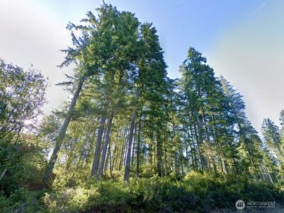 5011 E Rasor Road , Belfair, WA 98528 - Photo 12