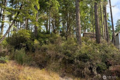 5011 E Rasor Road , Belfair, WA 98528 - Photo 30