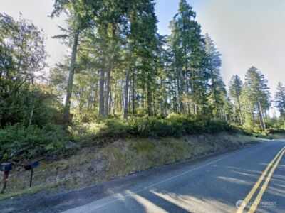 5011 E Rasor Road , Belfair, WA 98528 - Photo 4