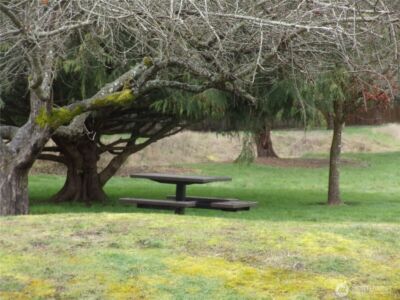 10509 Yelm Terra Street SE, Yelm, WA 98597 - Photo 23