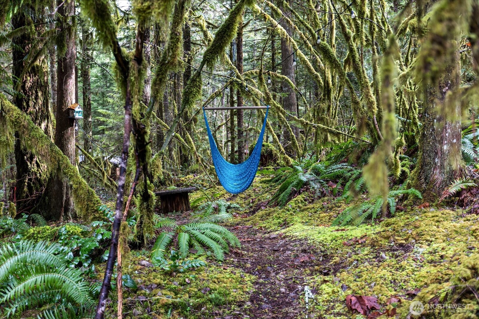 50 3 Schinn Canyon Circle , Deming, WA 98244