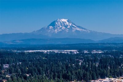 16019 7th Avenue Ct E, Tacoma, WA 98445 - Photo 40