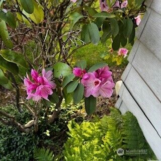 3611 I Street NE ##188, Auburn, WA 98002 - Photo 28