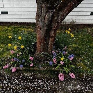 3611 I Street NE ##188, Auburn, WA 98002 - Photo 32