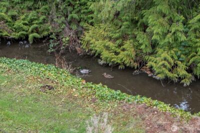 1725 242nd Street SE #203, Bothell, WA 98021 - Photo 24