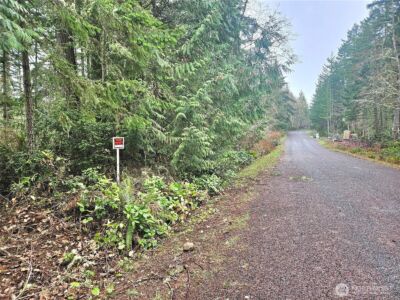 3 NKA W Go Onna Drive , Quilcene, WA 98376 - Photo 2