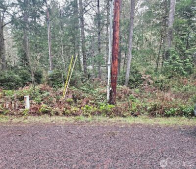 3 NKA W Go Onna Drive , Quilcene, WA 98376 - Photo 4