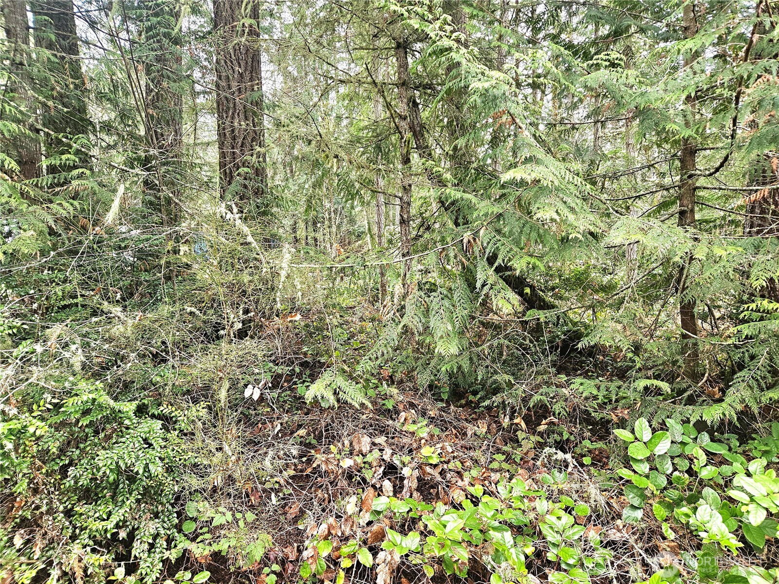 3 NKA W Go Onna Drive , Quilcene, WA 98376