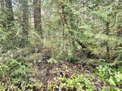 3 NKA W Go Onna Drive , Quilcene, WA 98376 - Photo 5