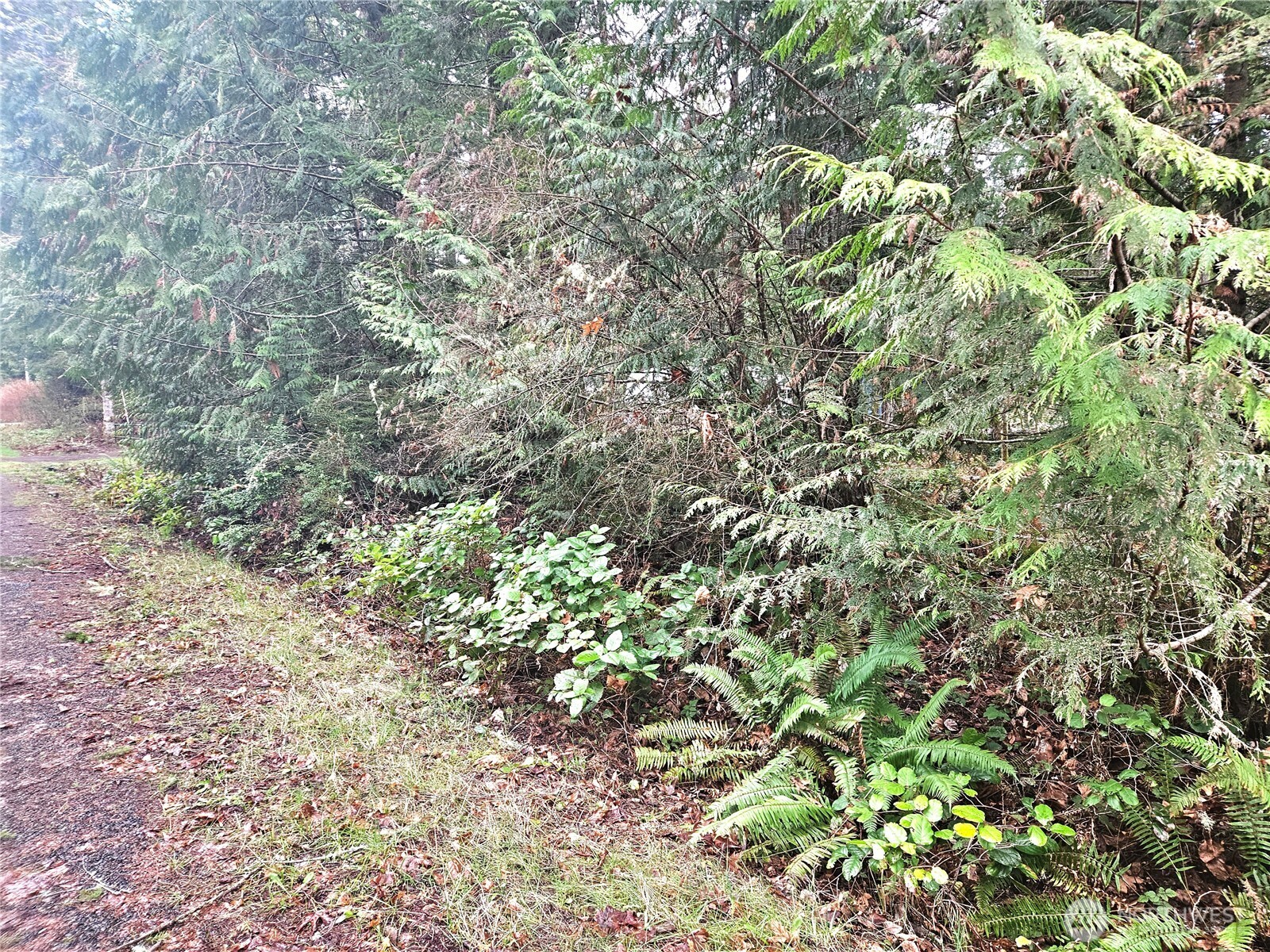 3 NKA W Go Onna Drive , Quilcene, WA 98376