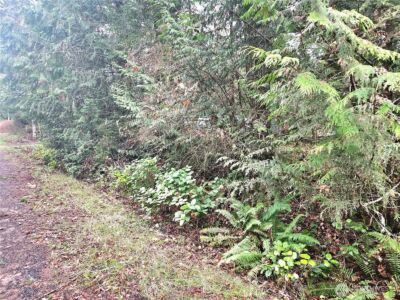 3 NKA W Go Onna Drive , Quilcene, WA 98376 - Photo 6