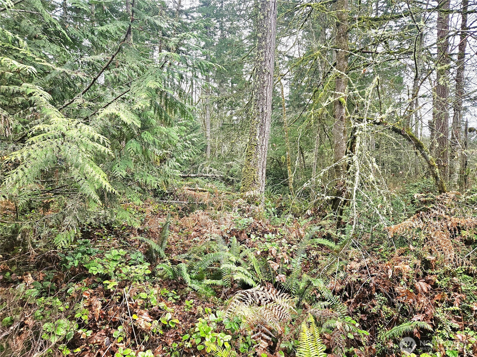 3 NKA W Go Onna Drive , Quilcene, WA 98376