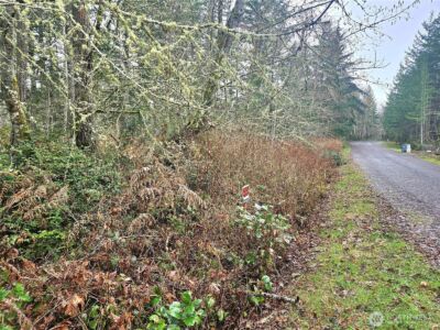 3 NKA W Go Onna Drive , Quilcene, WA 98376 - Photo 8