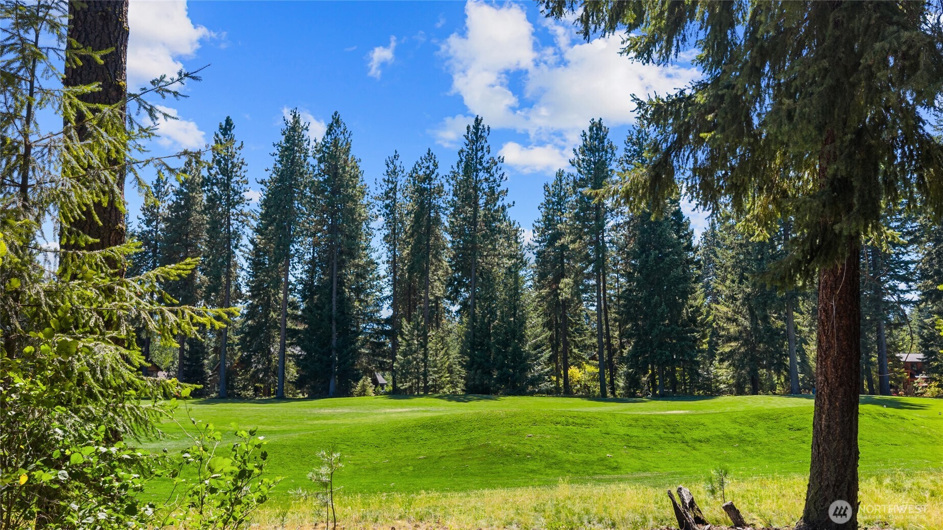 110 Larkspur Loop , Cle Elum, WA 98922