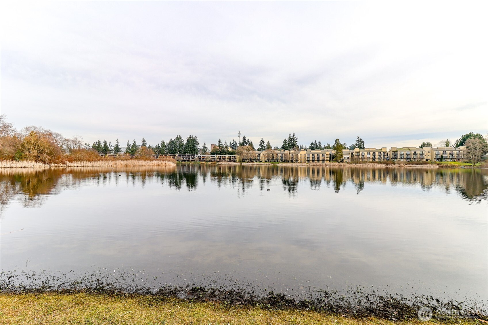 1006 S 312th Street #211, Federal Way, WA 98003