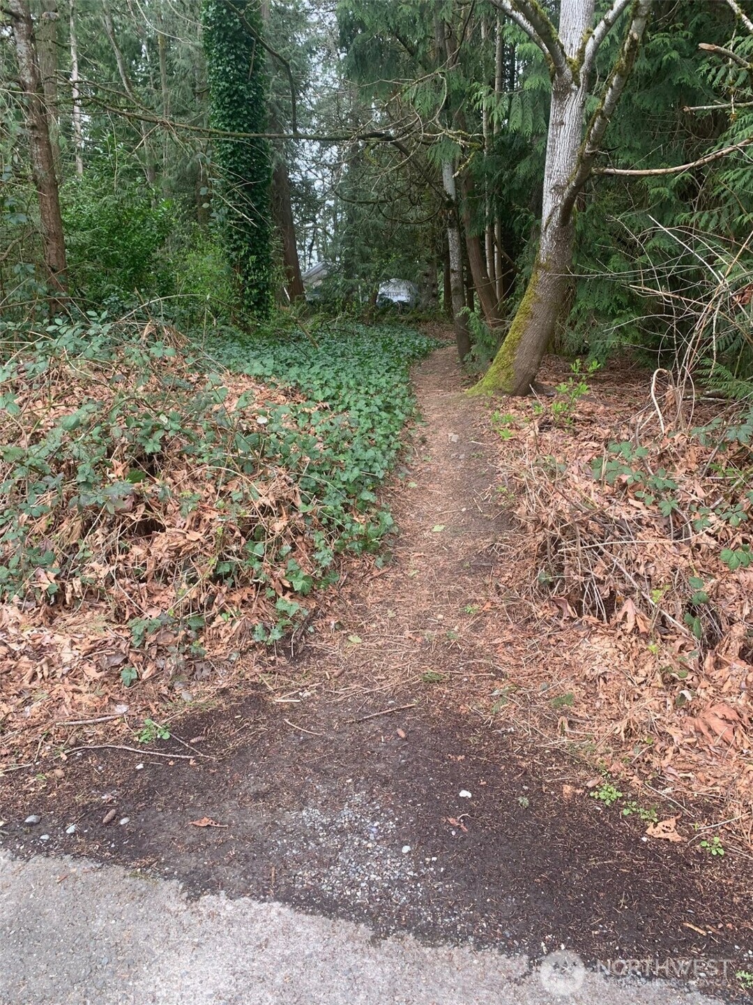 7503 152nd Avenue NE, Redmond, WA 98052