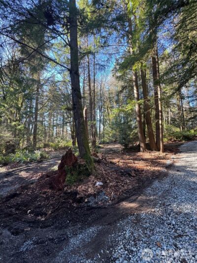 21635 NE Woodinville Duvall Road , Woodinville, WA 98077 - Photo 5