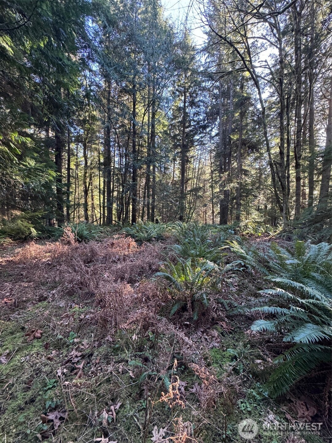 21635 NE Woodinville Duvall Road , Woodinville, WA 98077