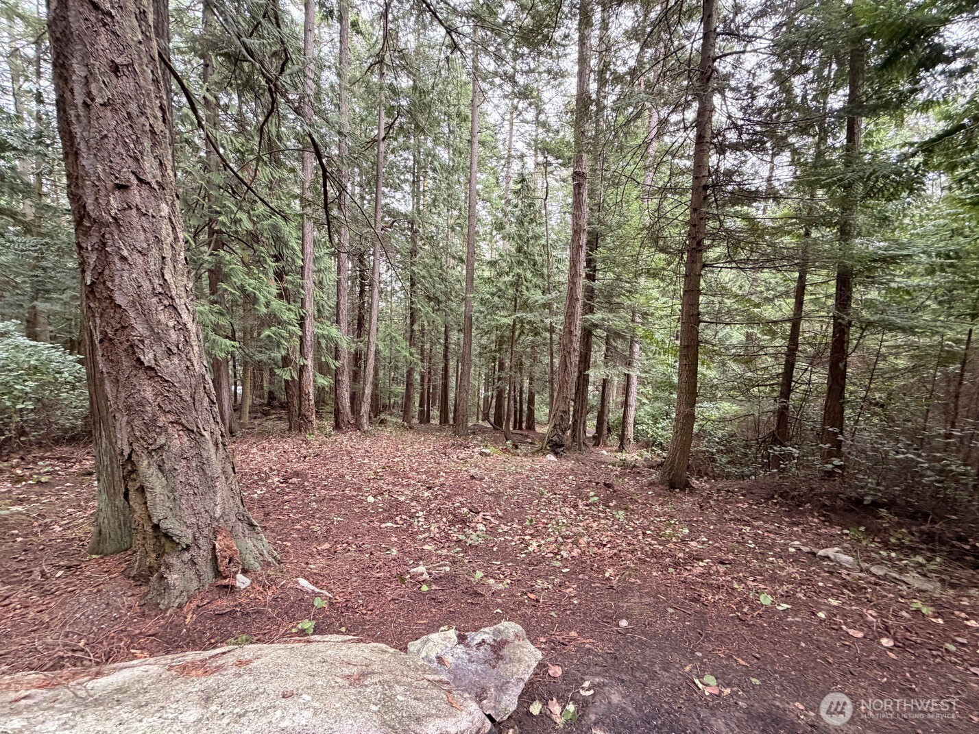 0 Woodhaven Lane , Lopez Island, WA 98261