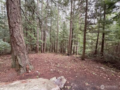 0 Woodhaven Lane , Lopez Island, WA 98261 - Photo 2