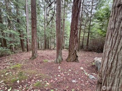 0 Woodhaven Lane , Lopez Island, WA 98261 - Photo 3