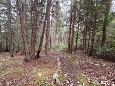 0 Woodhaven Lane , Lopez Island, WA 98261 - Photo 4