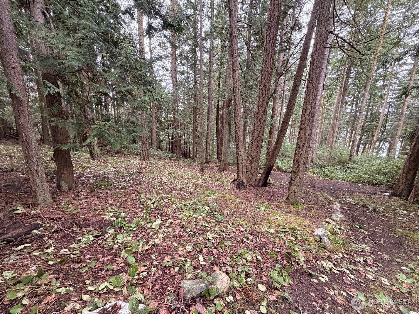 0 Woodhaven Lane , Lopez Island, WA 98261