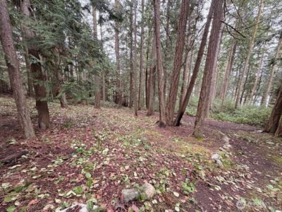 0 Woodhaven Lane , Lopez Island, WA 98261 - Photo 5