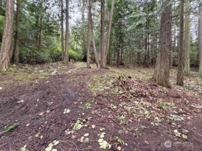 0 Woodhaven Lane , Lopez Island, WA 98261 - Photo 6