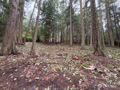 0 Woodhaven Lane , Lopez Island, WA 98261 - Photo 7