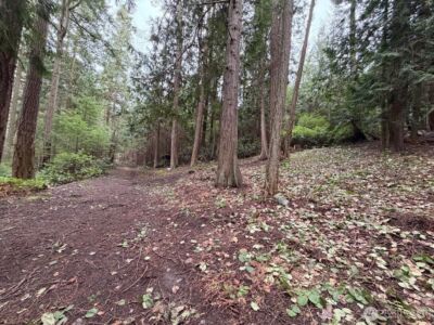 0 Woodhaven Lane , Lopez Island, WA 98261 - Photo 8