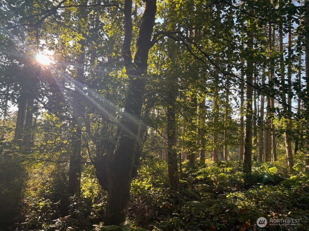 3 LOT Pavey Boulevard , Lopez Island, WA 98261