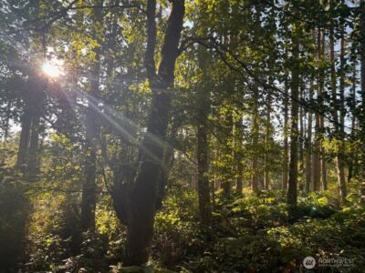 3 LOT Pavey Boulevard , Lopez Island, WA 98261 - Photo 2